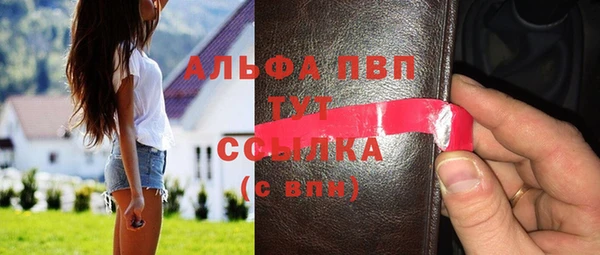 стафф Алексин